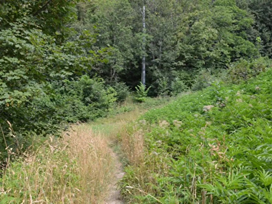 Immagine 1 di Terreno edificabile in vendita  in Via al Maneggio a Sestola