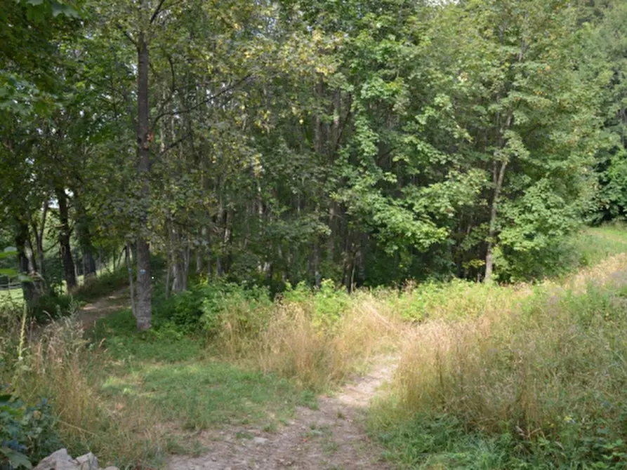 Immagine 3 di Terreno edificabile in vendita  in Via al Maneggio a Sestola