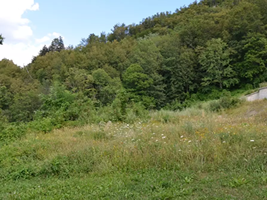 Immagine 6 di Terreno edificabile in vendita  in Via al Maneggio a Sestola