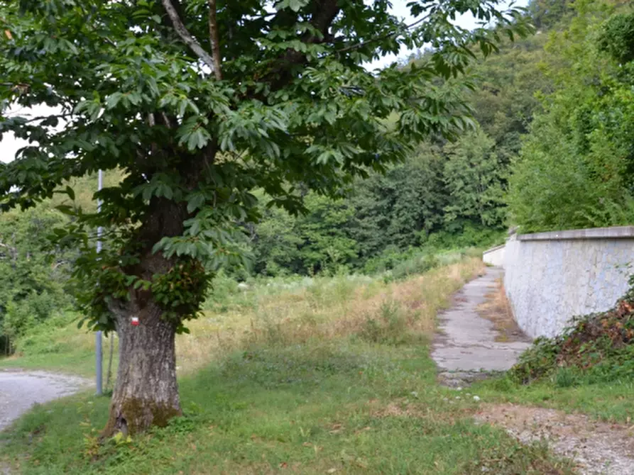 Immagine 9 di Terreno edificabile in vendita  in Via al Maneggio a Sestola