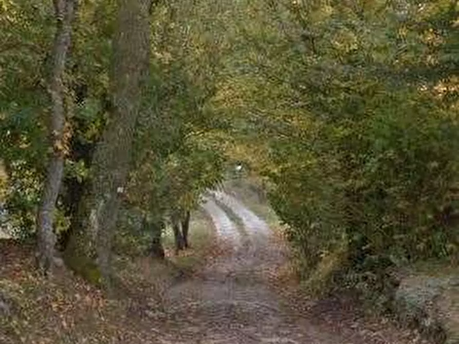 Immagine 11 di Casa indipendente in vendita  in Via Lamizze a Zocca