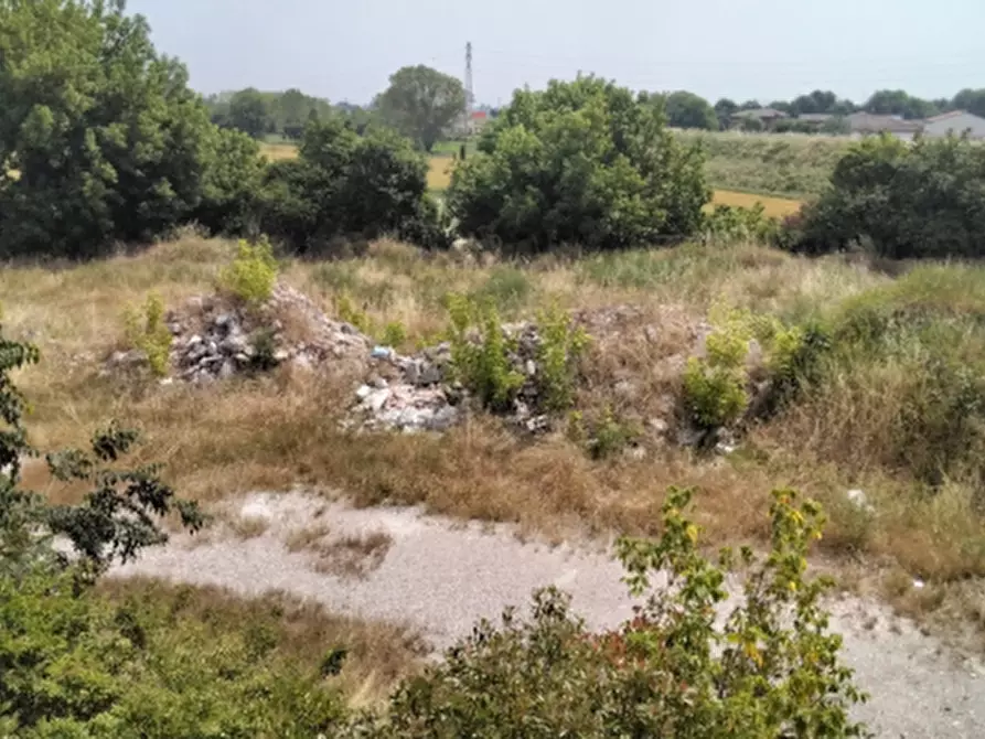 Immagine 1 di Terreno agricolo in vendita  in Via Cisa Veneta a Guastalla
