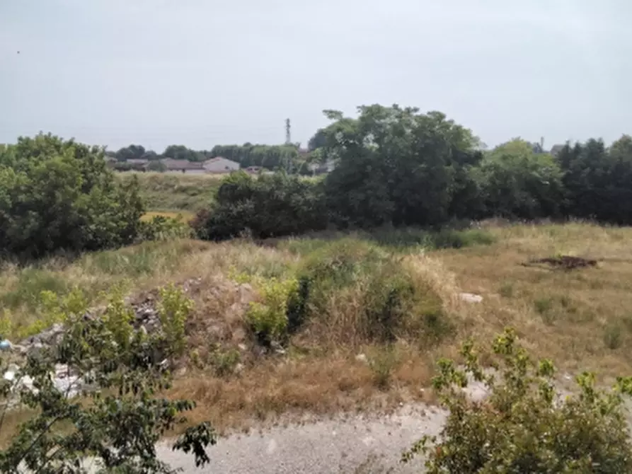 Immagine 4 di Terreno agricolo in vendita  in Via Cisa Veneta a Guastalla