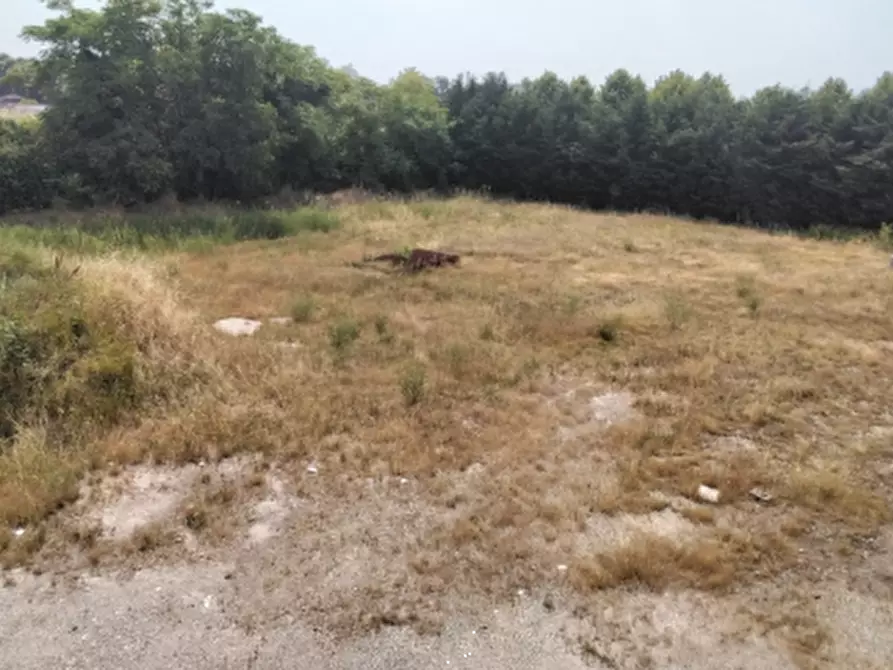 Immagine 5 di Terreno agricolo in vendita  in Via Cisa Veneta a Guastalla
