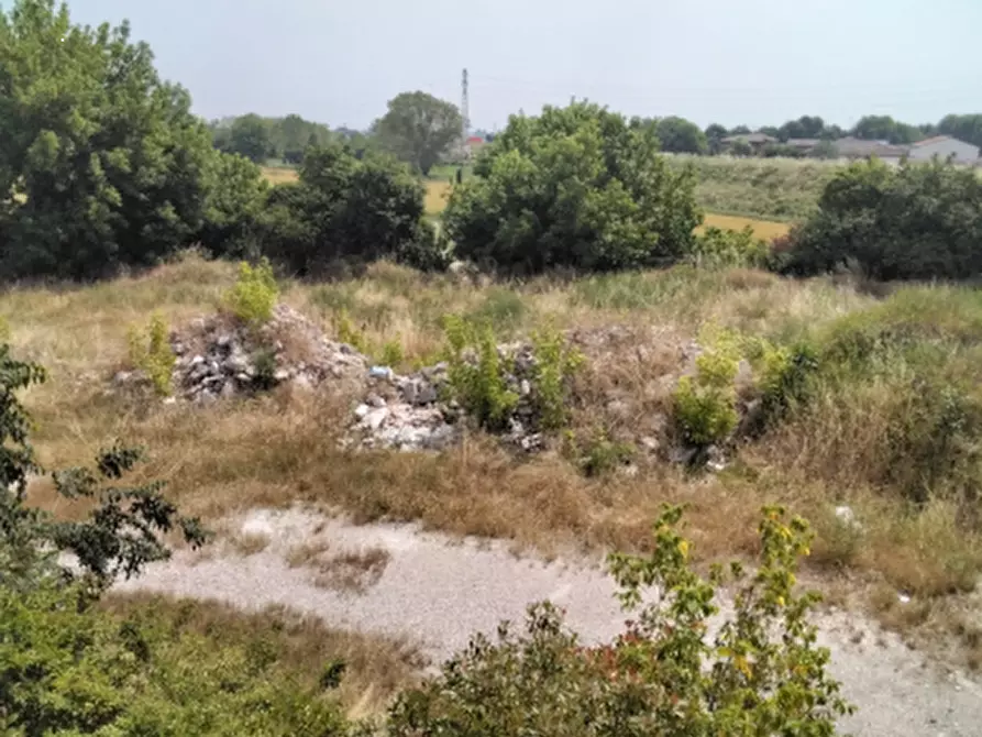 Immagine 6 di Terreno agricolo in vendita  in Via Cisa Veneta a Guastalla