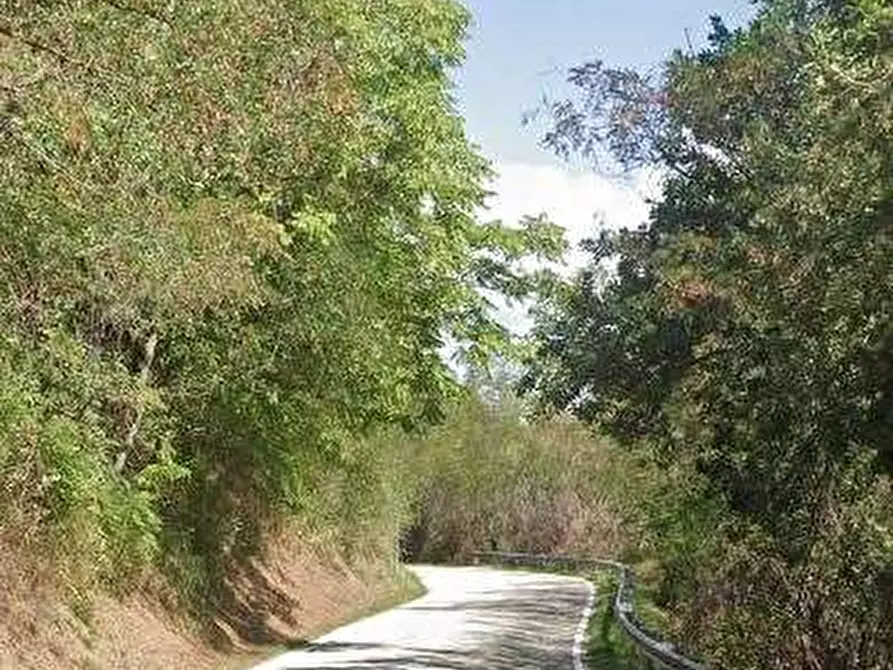 Immagine 5 di Appartamento in vendita  in Via Don Nello Ligi a Urbino