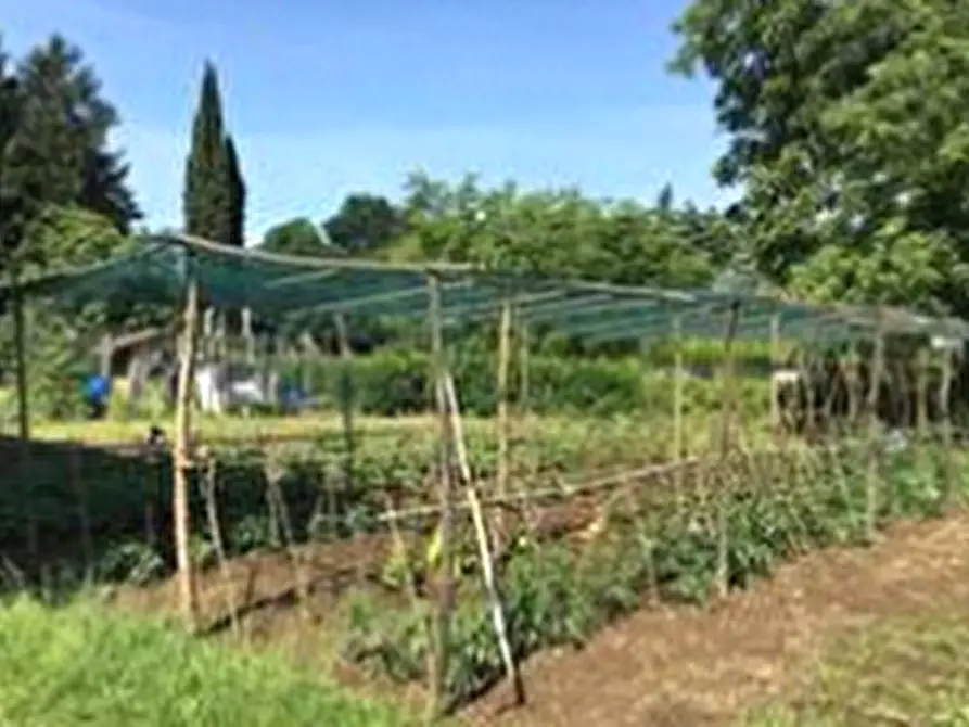 Immagine 2 di Terreno agricolo in vendita  in Via Tofane a Giussano