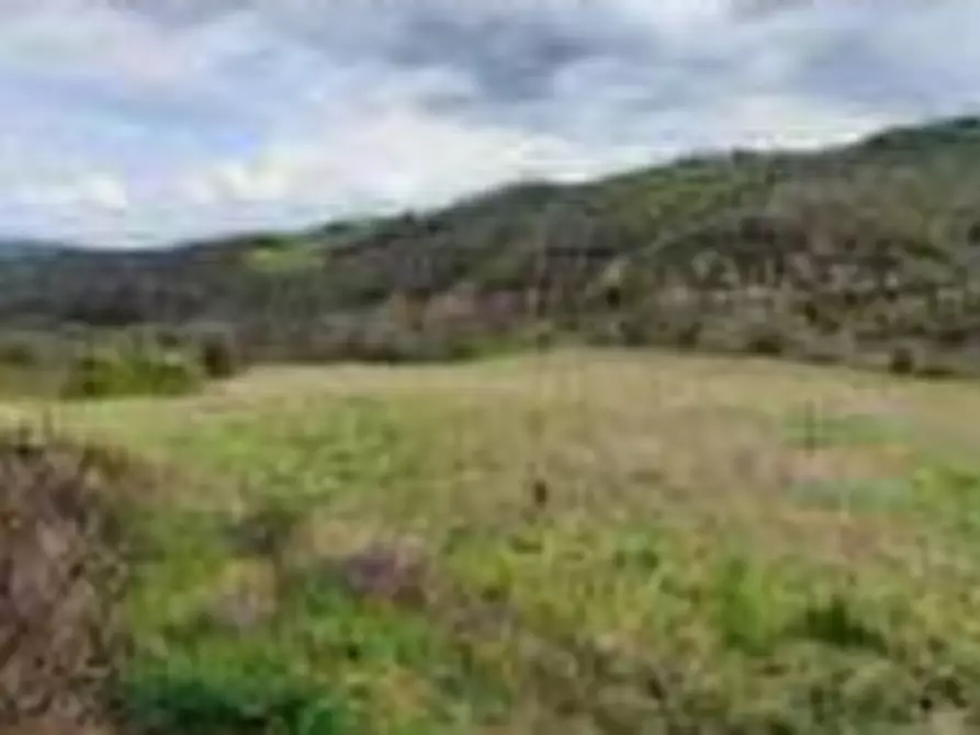 Immagine 4 di Hotel in vendita  in Vocabolo Caserelle a San Venanzo