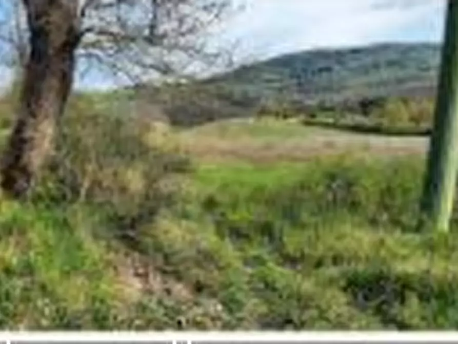 Immagine 6 di Hotel in vendita  in Vocabolo Caserelle a San Venanzo