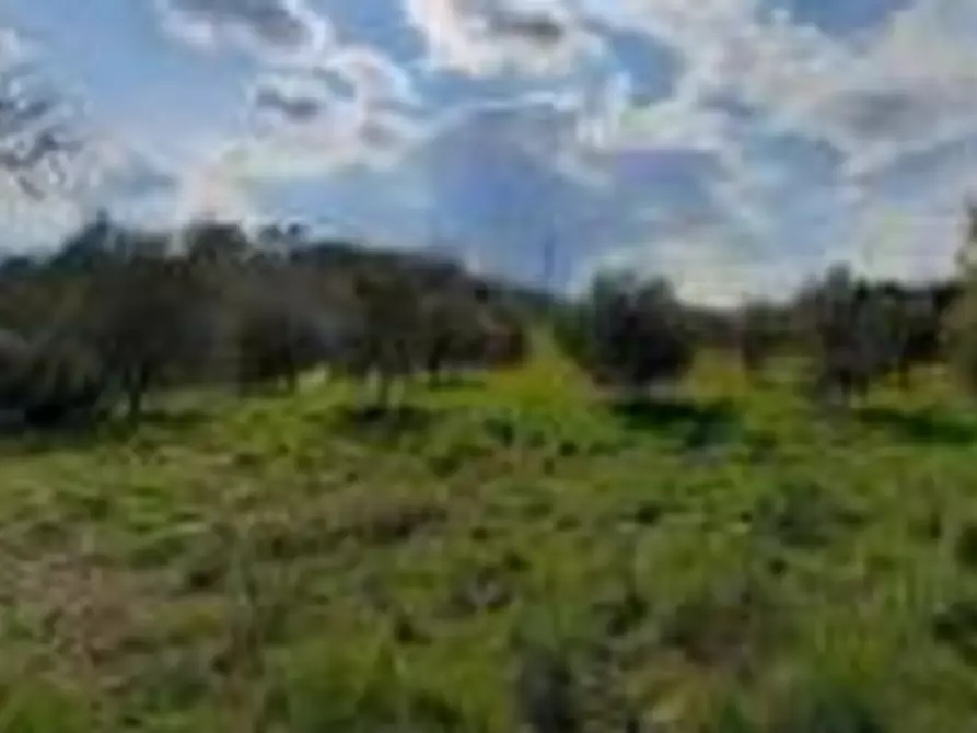 Immagine 7 di Hotel in vendita  in Vocabolo Caserelle a San Venanzo