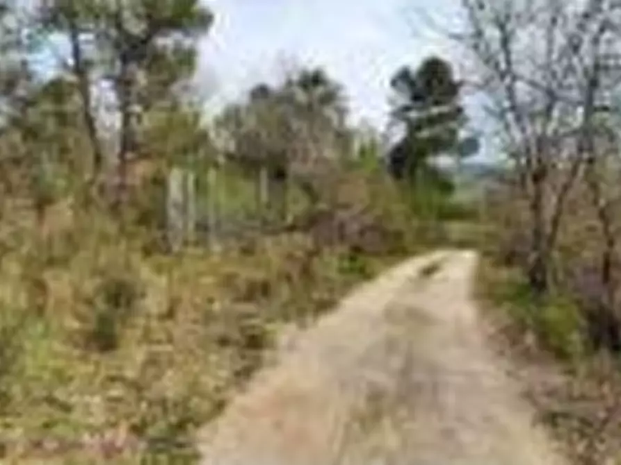 Immagine 9 di Hotel in vendita  in Vocabolo Caserelle a San Venanzo