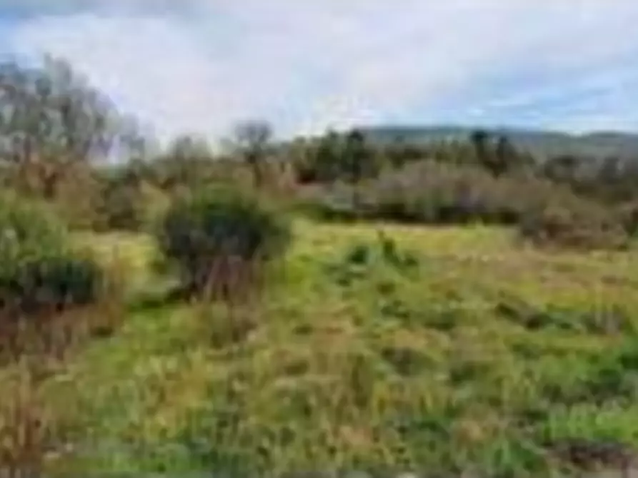 Immagine 10 di Hotel in vendita  in Vocabolo Caserelle a San Venanzo