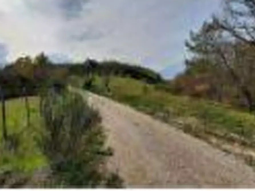 Immagine 11 di Hotel in vendita  in Vocabolo Caserelle a San Venanzo