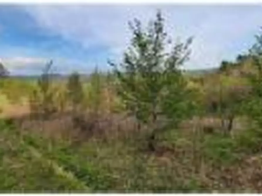 Immagine 13 di Hotel in vendita  in Vocabolo Caserelle a San Venanzo