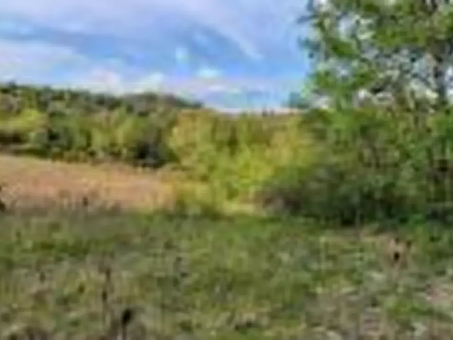 Immagine 14 di Hotel in vendita  in Vocabolo Caserelle a San Venanzo