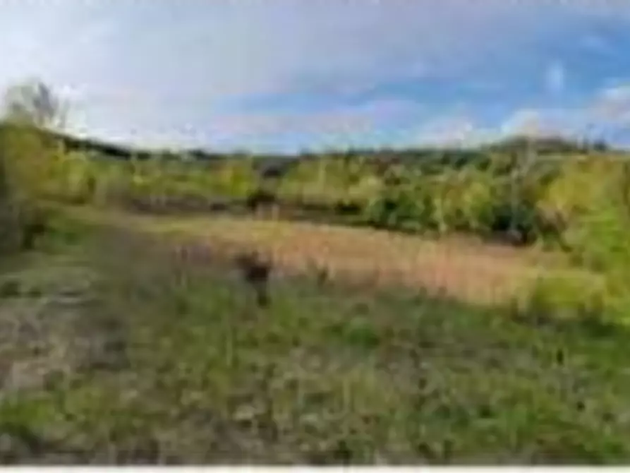 Immagine 15 di Hotel in vendita  in Vocabolo Caserelle a San Venanzo