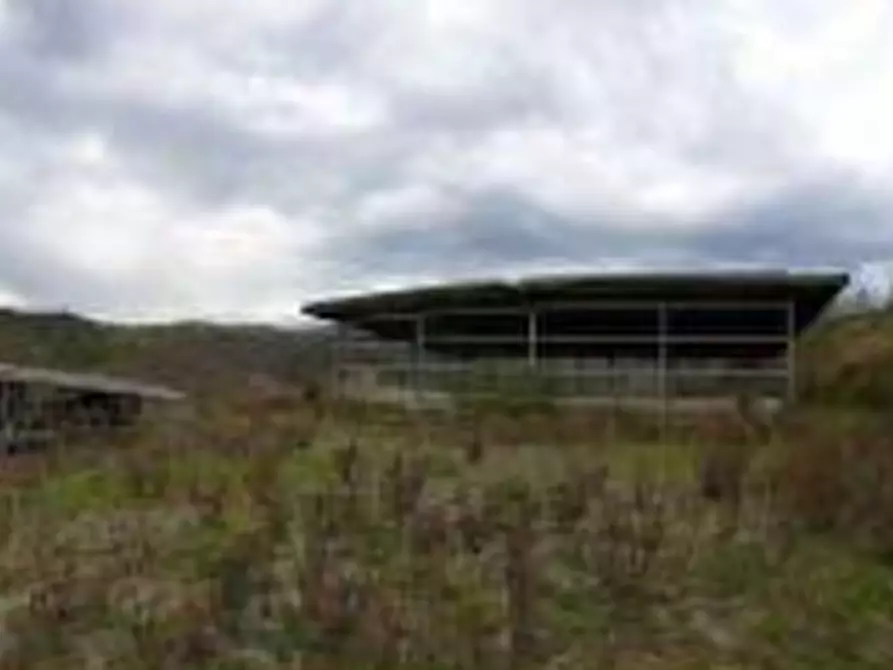 Immagine 19 di Hotel in vendita  in Vocabolo Caserelle a San Venanzo