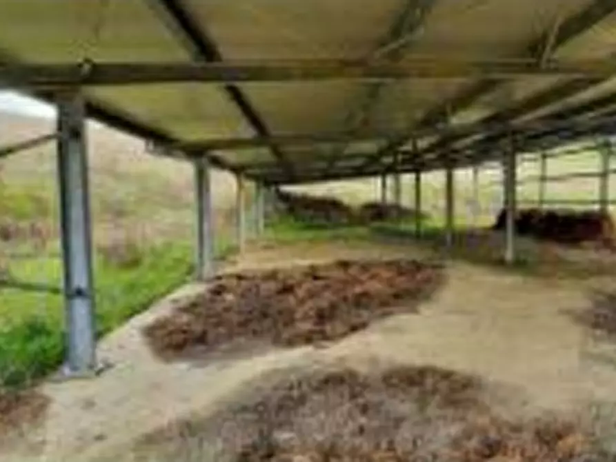 Immagine 22 di Hotel in vendita  in Vocabolo Caserelle a San Venanzo