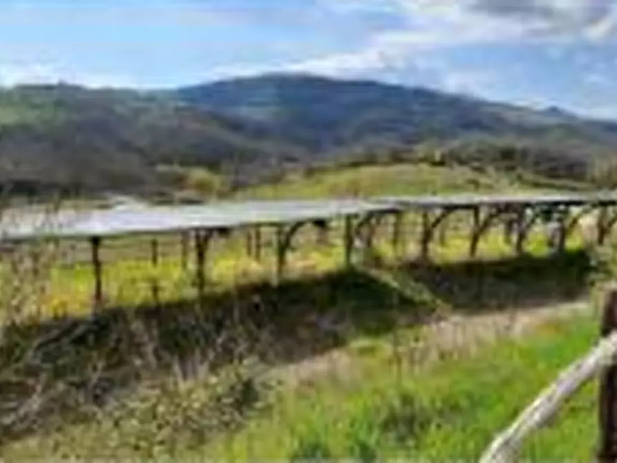 Immagine 31 di Hotel in vendita  in Vocabolo Caserelle a San Venanzo