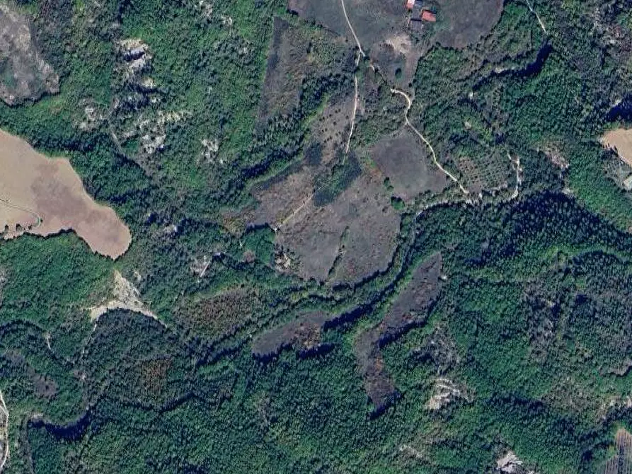 Immagine 56 di Hotel in vendita  in Vocabolo Caserelle a San Venanzo