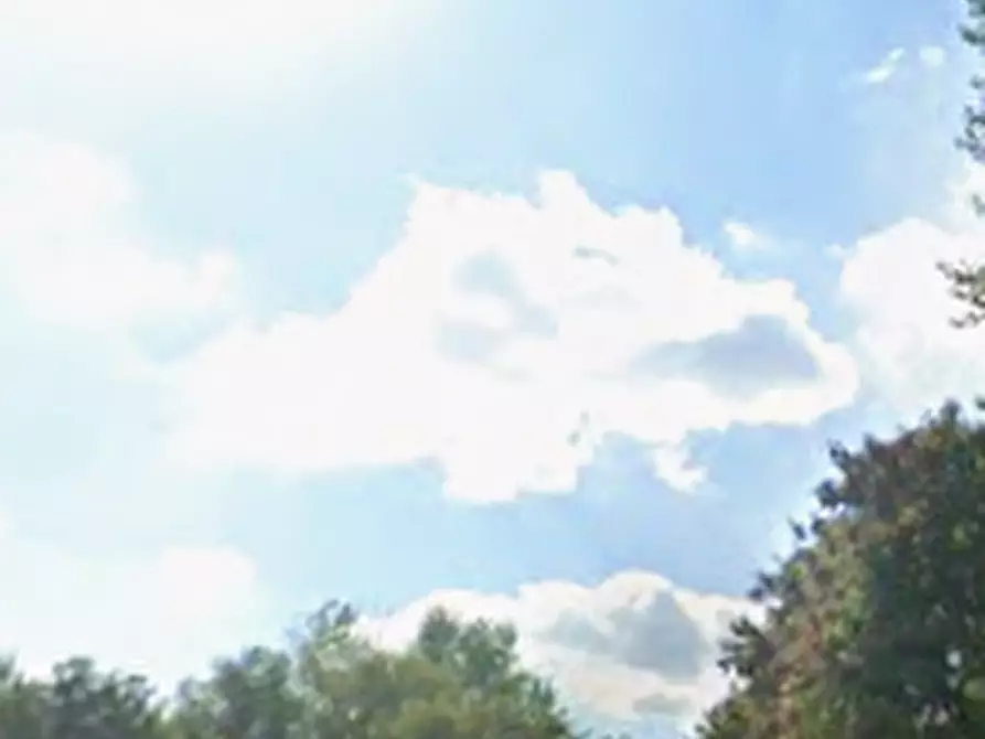 Immagine 13 di Appartamento in vendita  in Via dei Pini a Pieve Emanuele