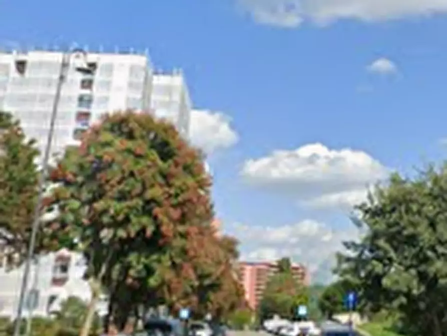 Immagine 14 di Appartamento in vendita  in Via dei Pini a Pieve Emanuele