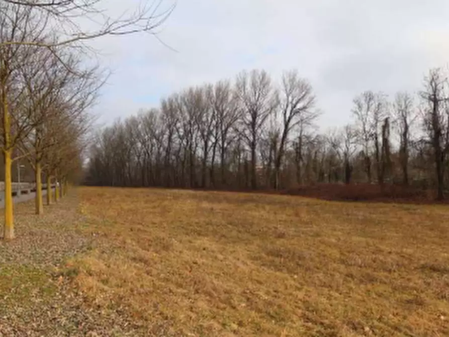 Immagine 1 di Terreno agricolo in vendita  in Via Regina Margherita a Biassono