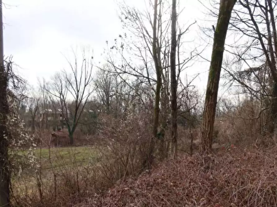 Immagine 2 di Terreno agricolo in vendita  in Via Regina Margherita a Biassono
