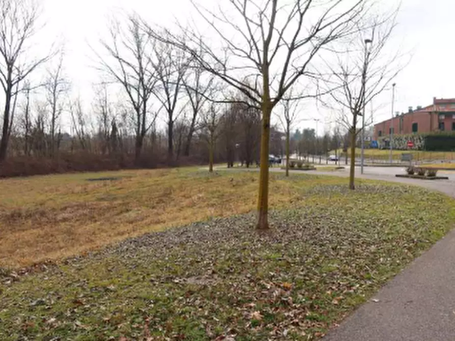 Immagine 4 di Terreno agricolo in vendita  in Via Regina Margherita a Biassono