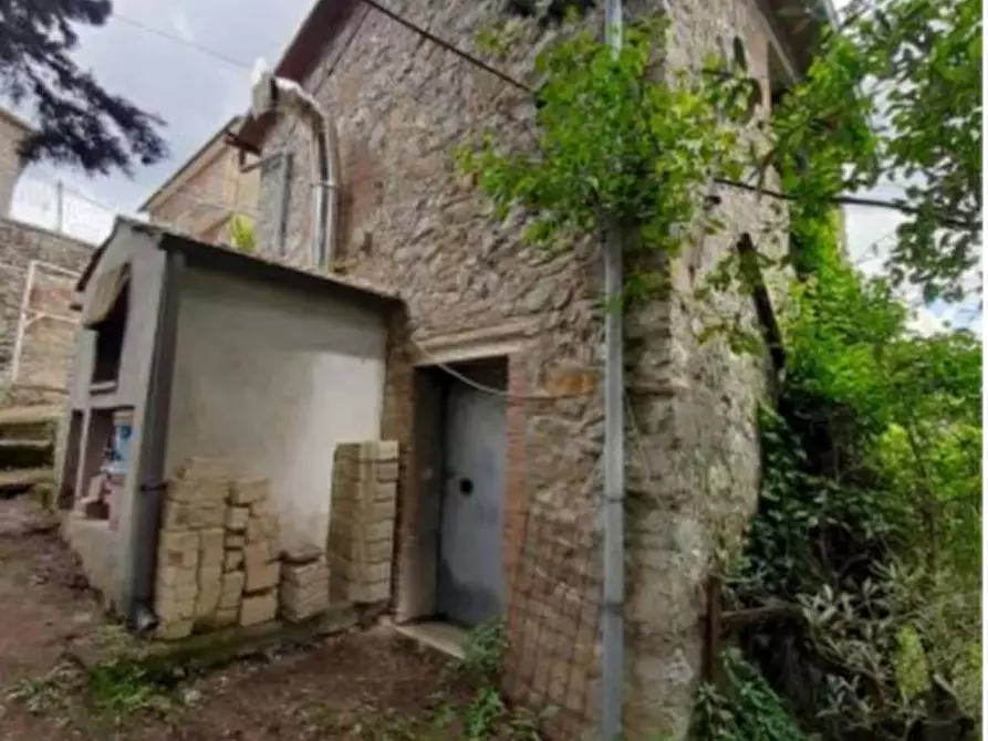 Immagine 5 di Terreno agricolo in vendita  in Località Olevole a Ficulle