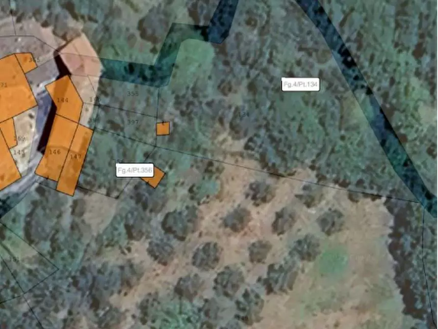 Immagine 6 di Terreno agricolo in vendita  in Località Olevole a Ficulle