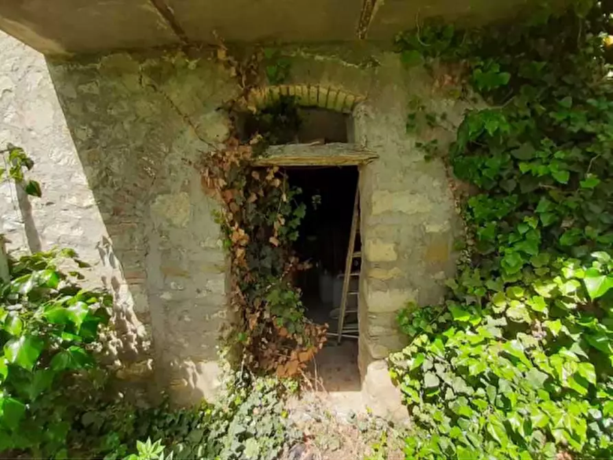 Immagine 7 di Terreno agricolo in vendita  in Località Olevole a Ficulle