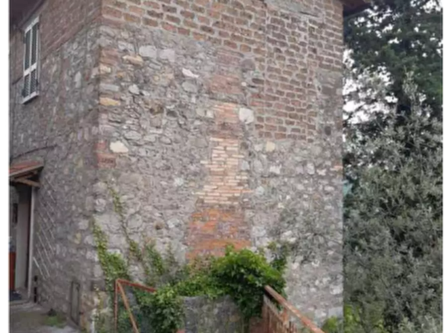 Immagine 3 di Terreno agricolo in vendita  in Località Olevole a Ficulle