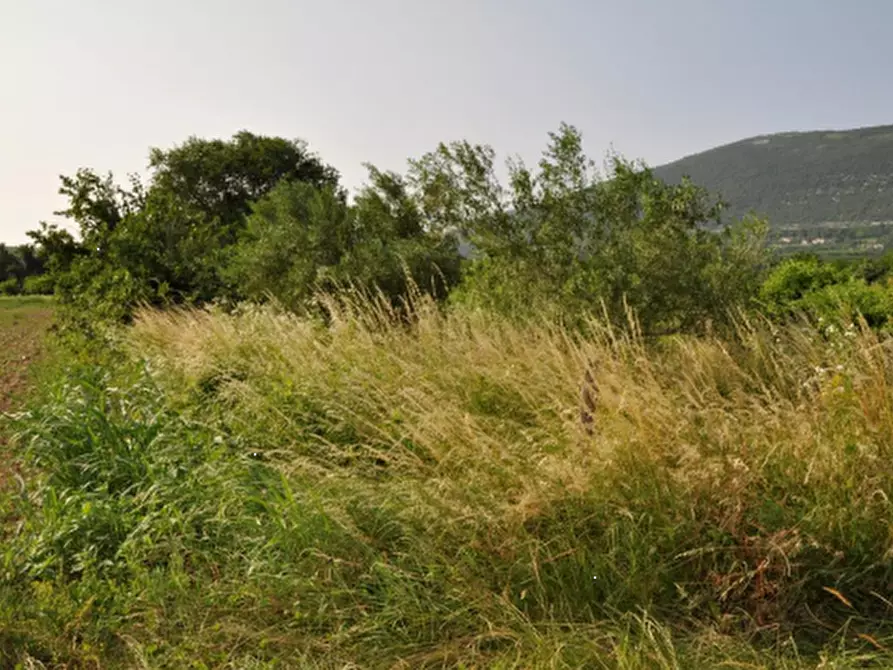 Immagine 4 di Casa indipendente in vendita  in Via degli Scogli a Gorizia