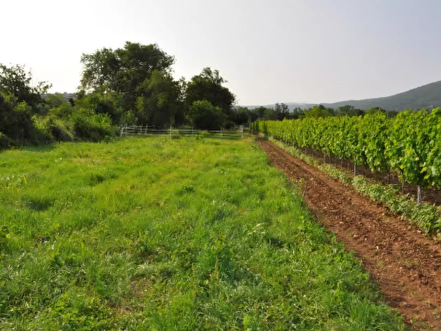 Immagine 5 di Casa indipendente in vendita  in Via degli Scogli a Gorizia