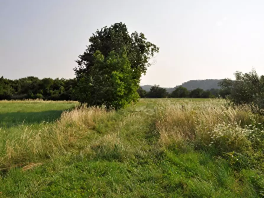 Immagine 6 di Casa indipendente in vendita  in Via degli Scogli a Gorizia