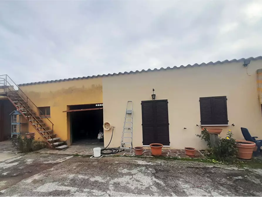 Immagine 3 di Magazzino in vendita  in Via Metauro a Cartoceto