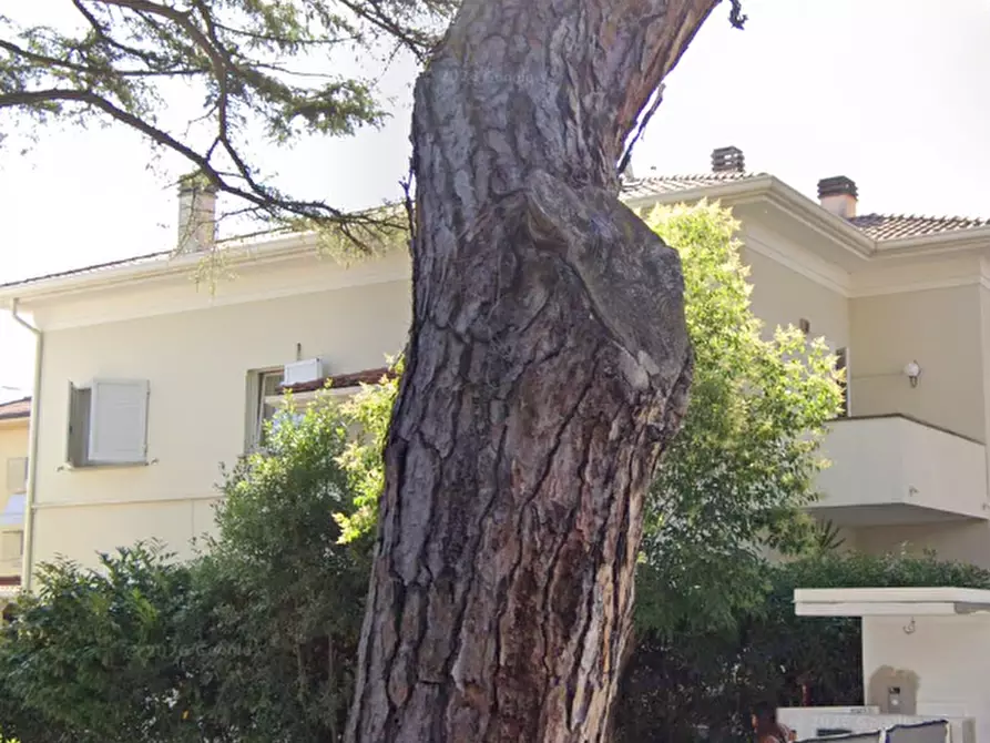 Immagine 18 di Casa bifamiliare in vendita  in Viale Galliano a Riccione