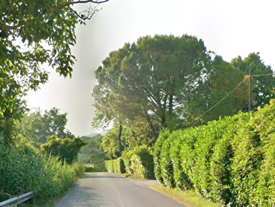 Immagine 6 di Negozio in vendita  in Via Nazionale a Urbino