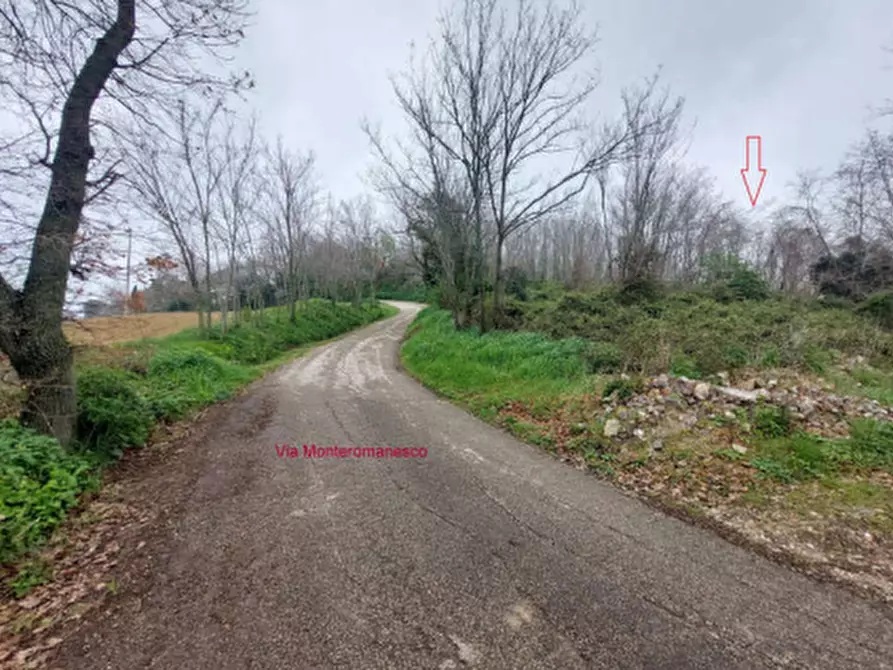 Immagine 2 di Terreno edificabile in vendita  in Localita' Monteromanesco a Pesaro