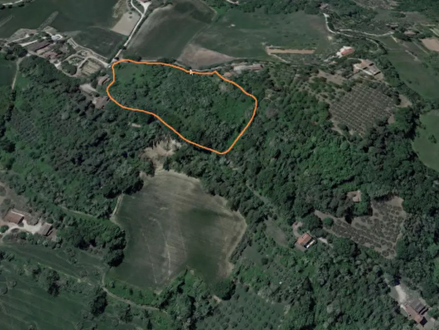 Immagine 5 di Terreno edificabile in vendita  in Localita' Monteromanesco a Pesaro