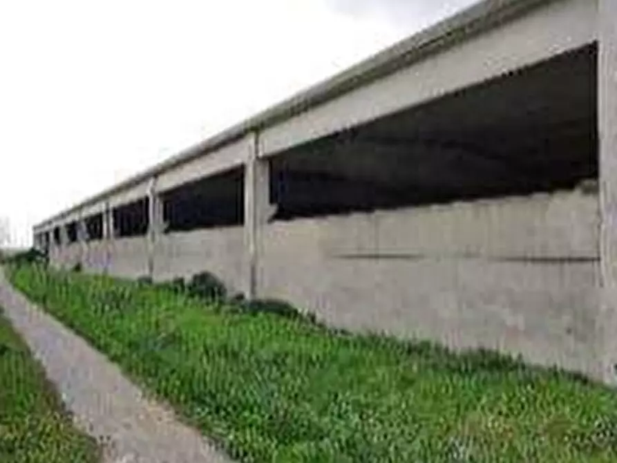 Immagine 4 di Capannone industriale in vendita  in Via Tombotto a Orzinuovi