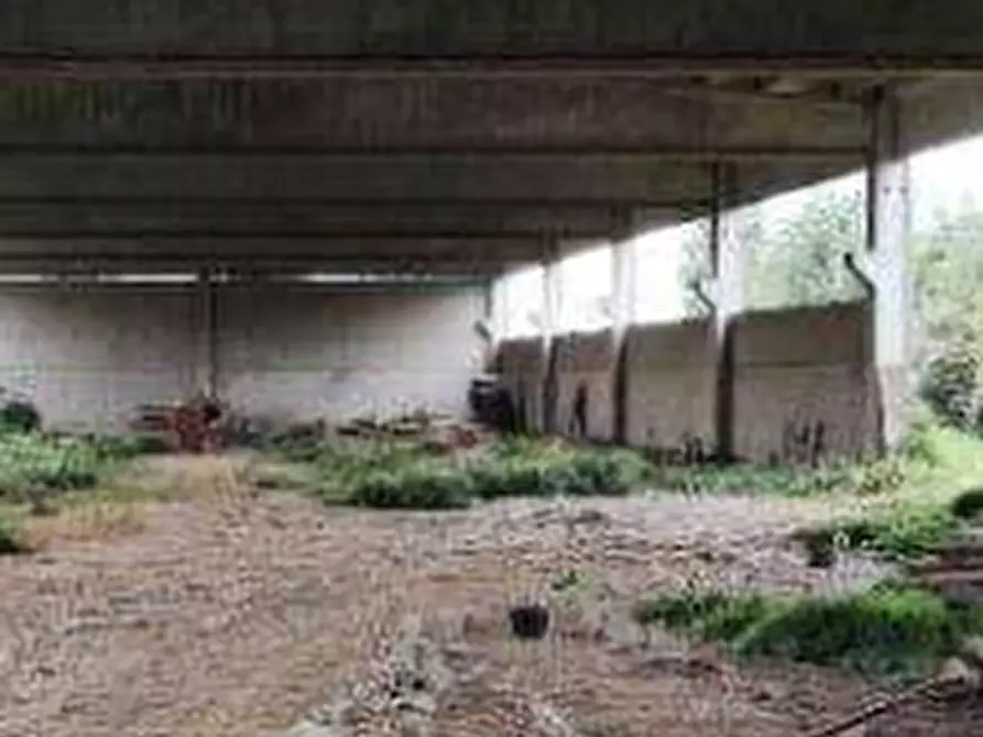 Immagine 5 di Capannone industriale in vendita  in Via Tombotto a Orzinuovi