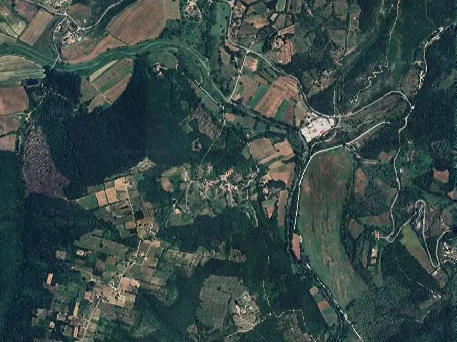 Immagine 9 di Terreno agricolo in vendita  in Località Olevole a Ficulle