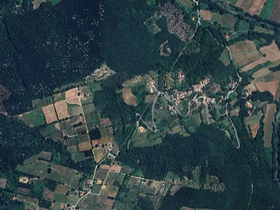 Immagine 10 di Terreno agricolo in vendita  in Località Olevole a Ficulle