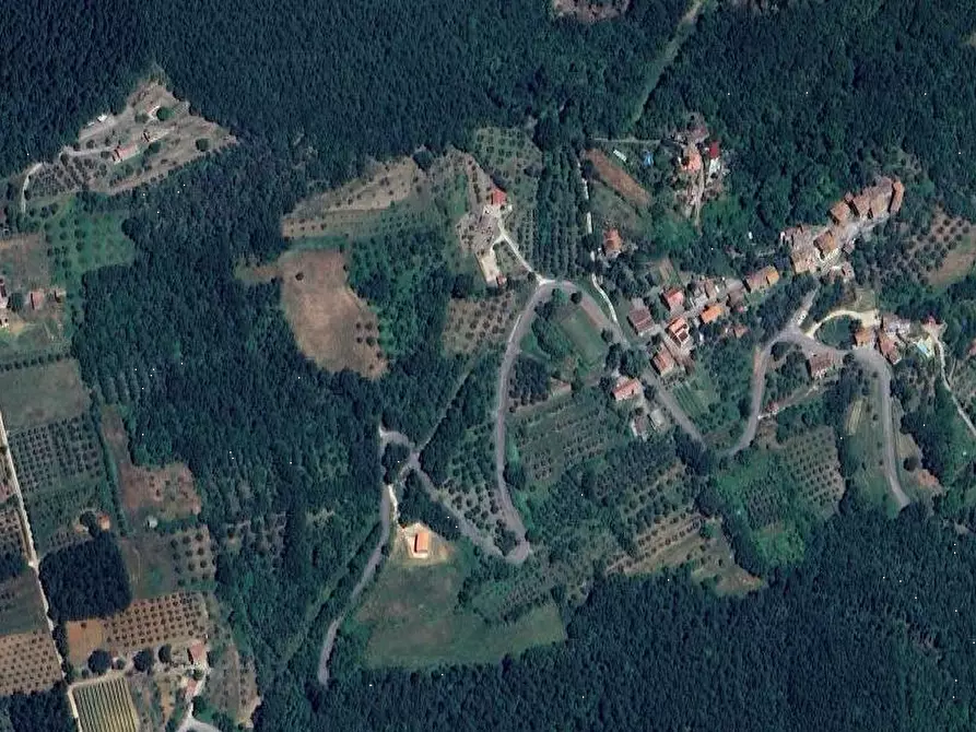 Immagine 11 di Terreno agricolo in vendita  in Località Olevole a Ficulle