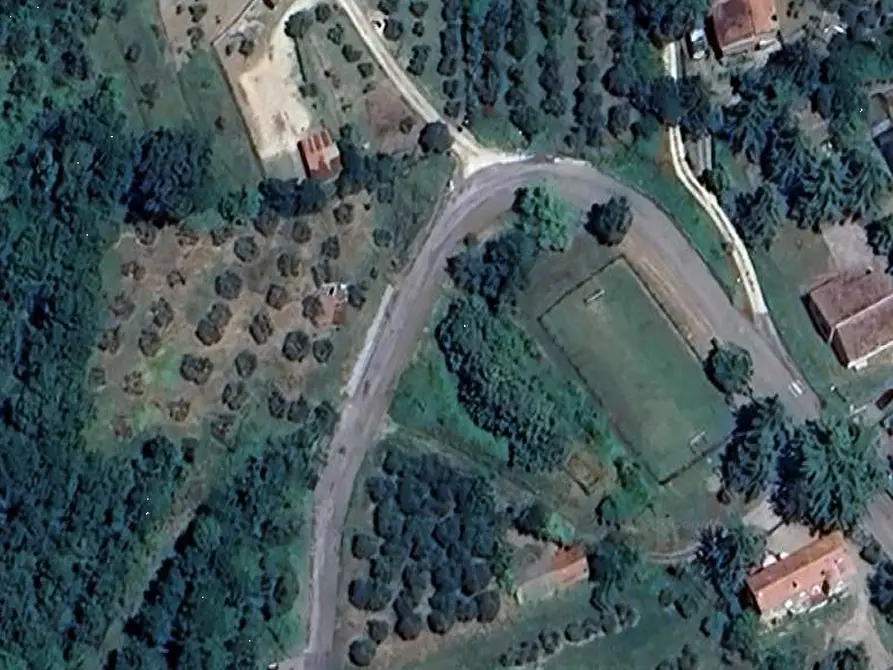 Immagine 13 di Terreno agricolo in vendita  in Località Olevole a Ficulle