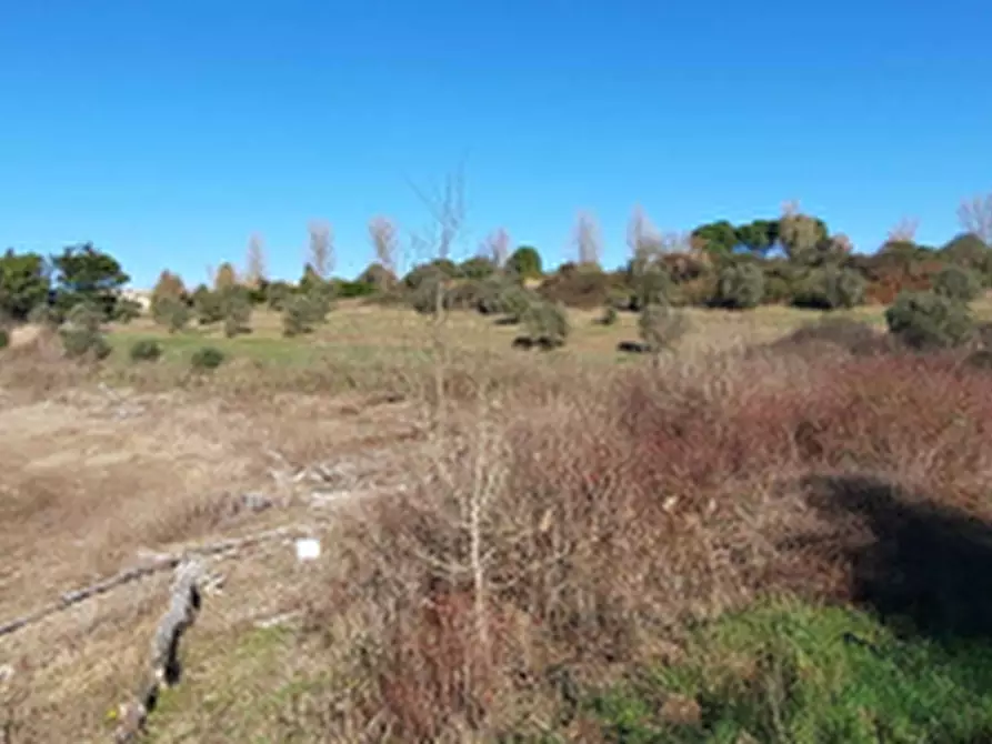Immagine 1 di Terreno edificabile in vendita  in Località Mortaro a Baschi