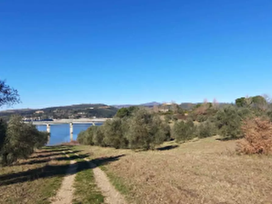 Immagine 2 di Terreno edificabile in vendita  in Località Mortaro a Baschi