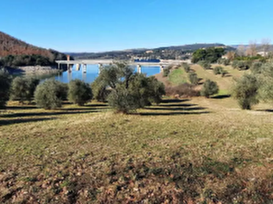 Immagine 4 di Terreno edificabile in vendita  in Località Mortaro a Baschi
